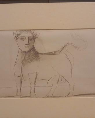 grafica Picasso 