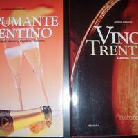 Vino e Spumante Trentino