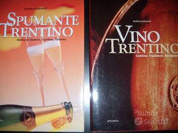 Vino e Spumante Trentino