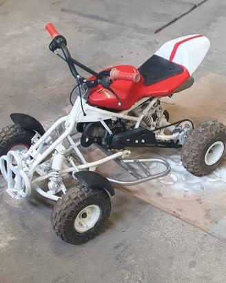 mini quad mini moto
