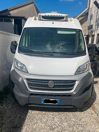 DUCATO CON CELLA