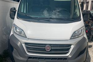 DUCATO CON CELLA