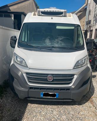 DUCATO CON CELLA