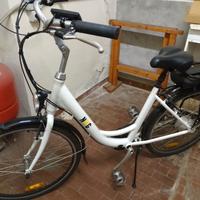 bicicletta elettrica 