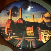 PINK FLOYD - Animals - LP / 33 giri 1977 Pic. Disc