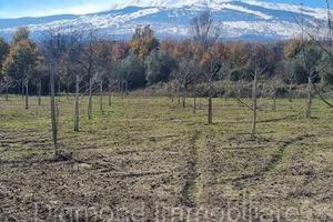 Terreno con rustico a Castiglione di Sicilia