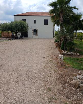 Fattoria didattica