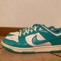 Nike dunk 43