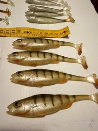 Shad pesca spinning