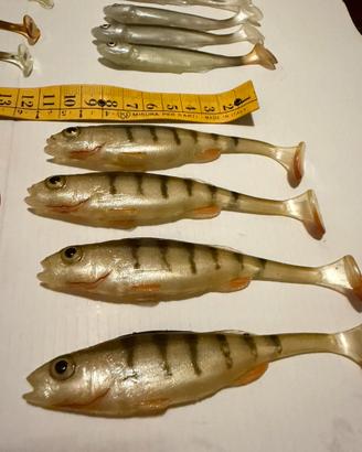 Shad pesca spinning