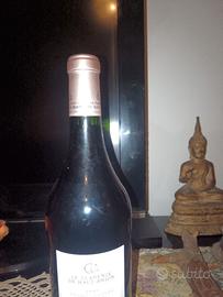 Bottiglia di vino bordeaux