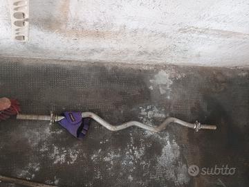 Bilanciere curvo x pesi 