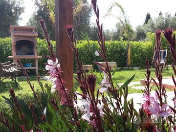 Villino nella natura a Torre dell' Orso