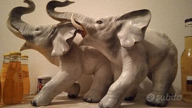 Coppia elefanti anni Sessanta.