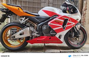 SPLENDIDA CBR 600 RR MOD. 2005 2006