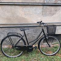 Bici olandesina wegabike 2