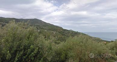 Cefalù: Ferla/Granato: terreno 9250mq circa