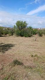 Terreno via degli imperatori (san leone)