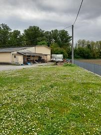 Capannone con area commerciale edificabile