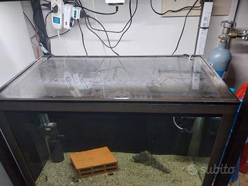 acquario 98 litri