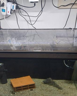acquario 98 litri