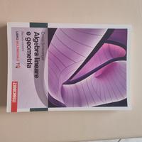 Libro di Algebra Lineare e Geometria, Schlesinger 