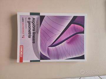 Libro di Algebra Lineare e Geometria, Schlesinger 