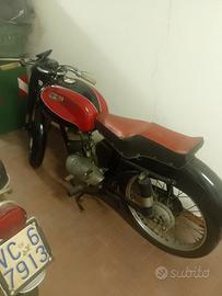 MV Agusta Altro modello - 1974