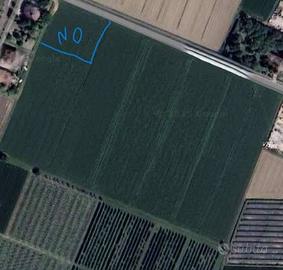 Terreno di 54000 m² a San Prospero