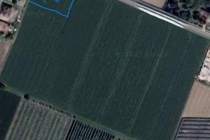 Terreno di 54000 m² a San Prospero