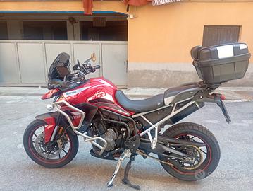 Triumph 