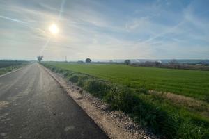 13 Ettari seminativi con casolare rif.888