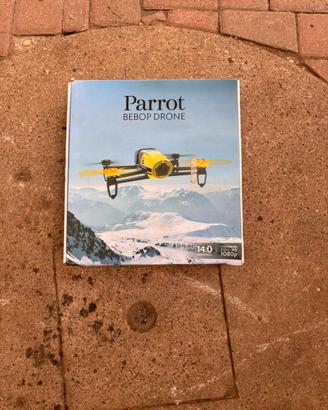 Drone parrot