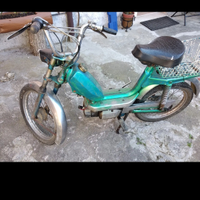 Motorino 50