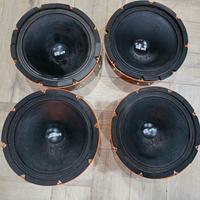 Woofer Db burn 25