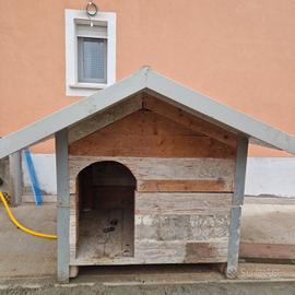 casa per cani