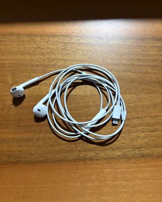 EarPods  Lightning Connector
