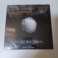 Ligabue 45 giri "Il sale della terra"