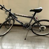 bicicletta donna/uomo