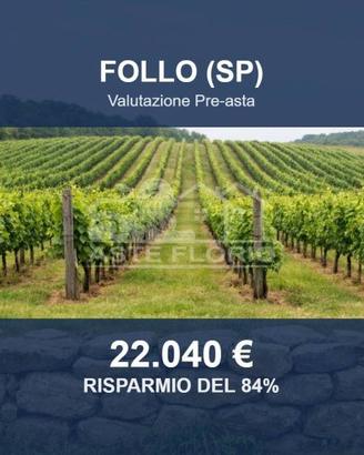 Immobile in asta di 330870 m² a Beverino