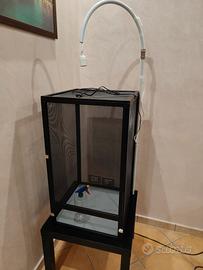 terrario per rettili