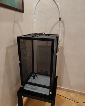 terrario per rettili