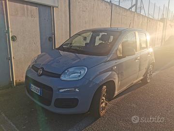 FIAT Panda 3ª serie - 2020