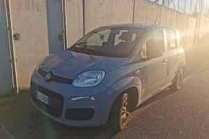 FIAT Panda 3ª serie - 2020