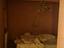 Immagine 12