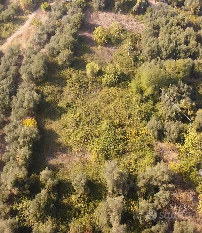 Terreno NON Edificabile 6360 mq - Vista 4