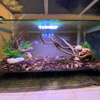 terrario/teca per rettili