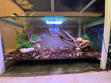 terrario/teca per rettili