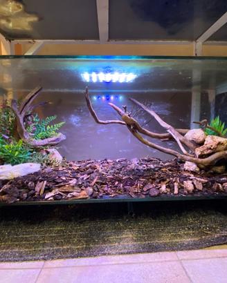 terrario/teca per rettili