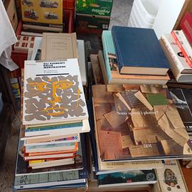 libri cinquanta centesimi 